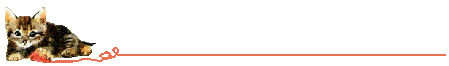 Cat Banner